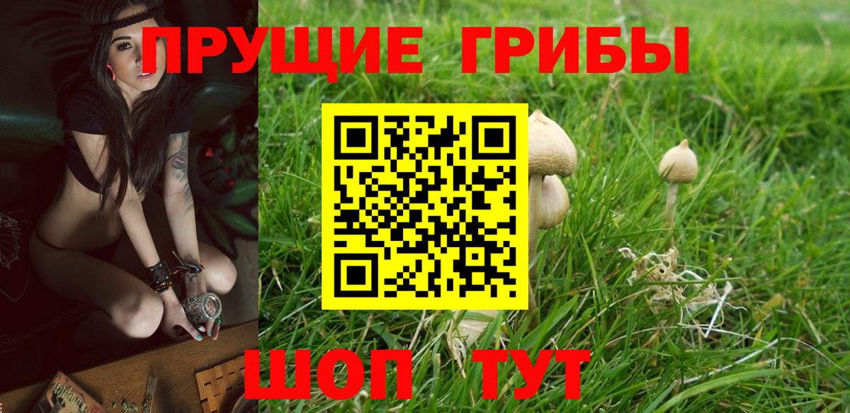Галлюциногенные грибы ЛСД Кириши