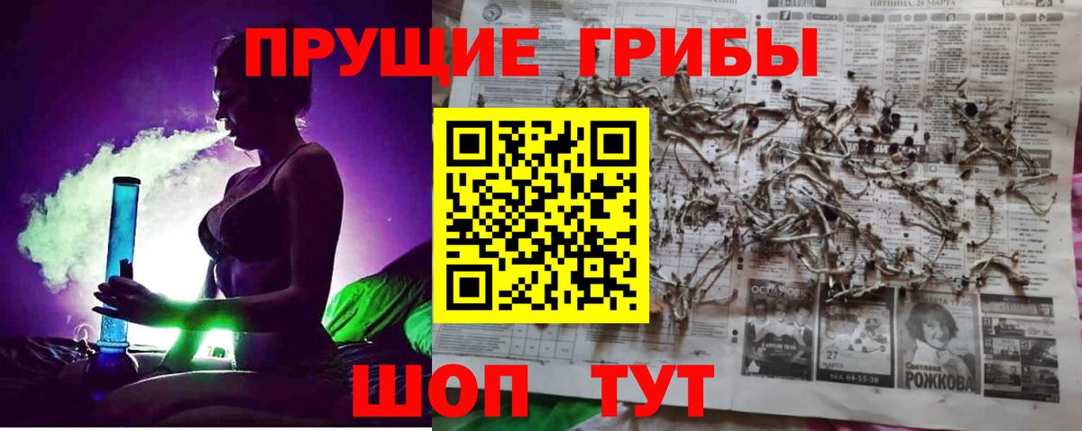 Кириши  Галлюциногенные грибы прущие грибы  Вход с VPN  Псилоцибиновые грибы прущие грибы 